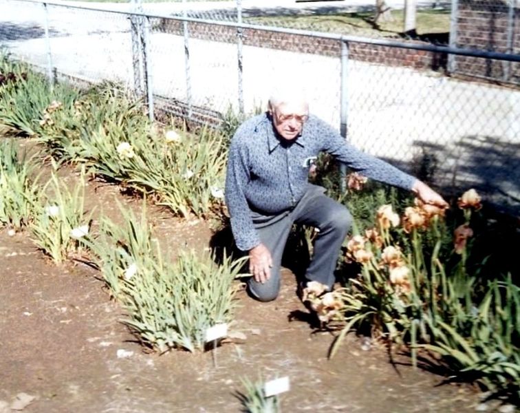Rudi in his iris garden, March 1985
